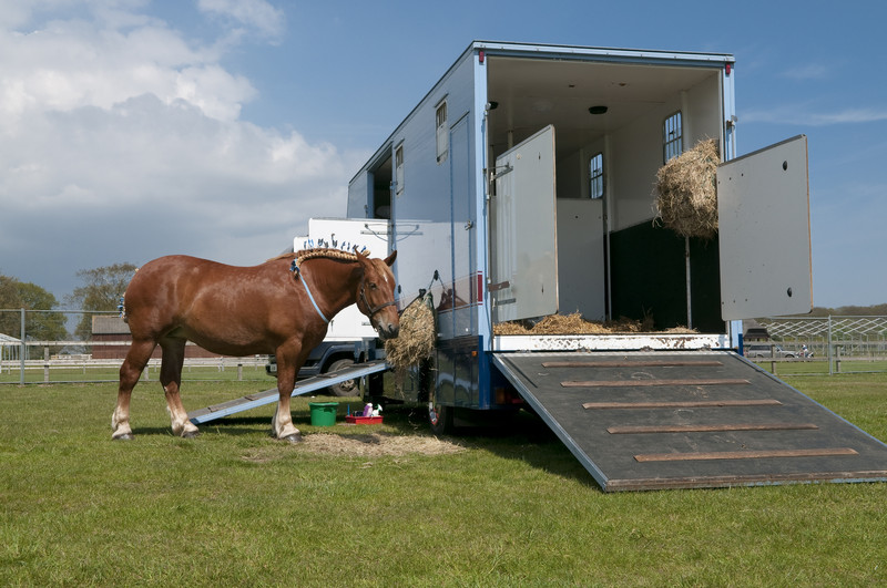 Horse by horse trailer Southeast Financial