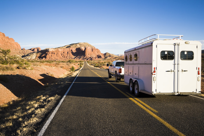What to look for horse trailer financing insurance