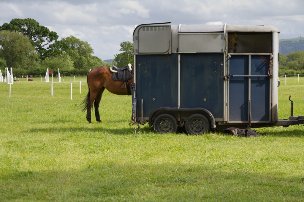 Loading Your Horse Trailer