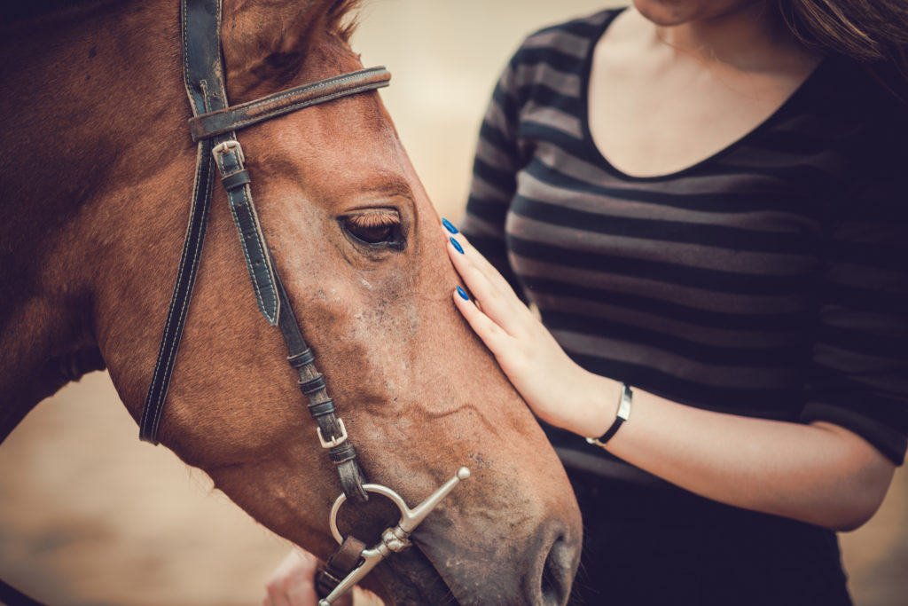 loading your horse into a trailer