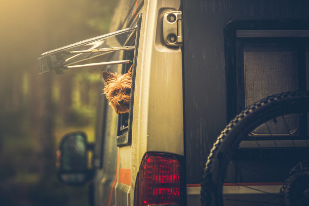 RV Safety with Pets