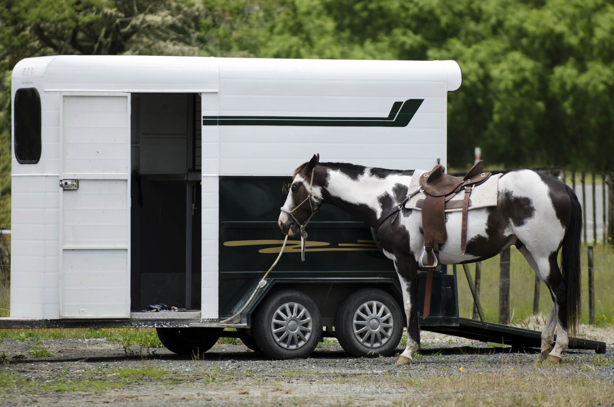 How to Finance a Horse Trailer With Bad Credit